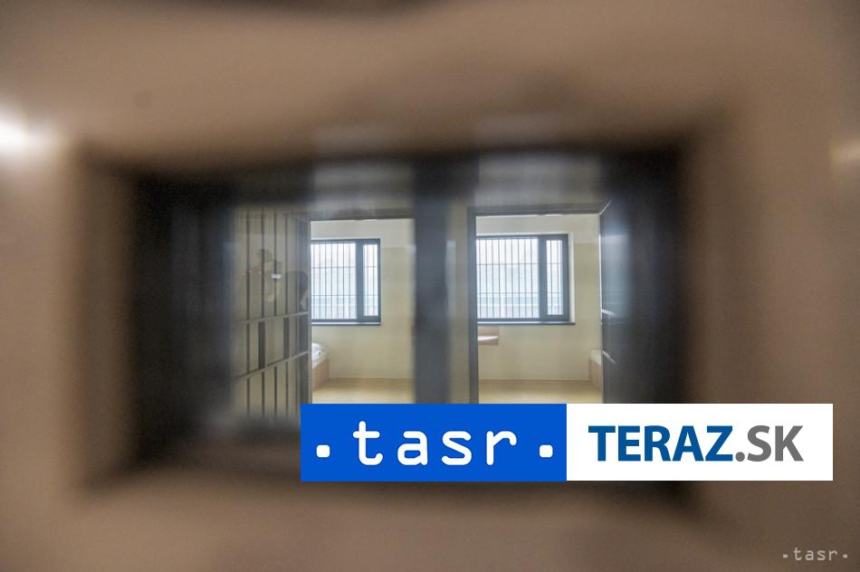 Saudska Arabia popravila 8 ludi za den v roku 2025 ich bolo 230