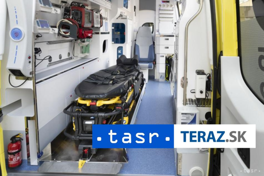 Velka tragedia Rotvajler zautocil na chlapca a zomrel