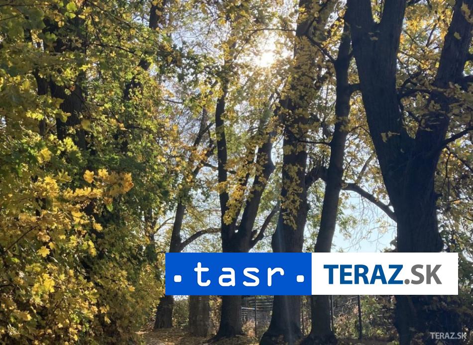 Nebezpecna huba v Bratislave ohrozuje zdravie ludi