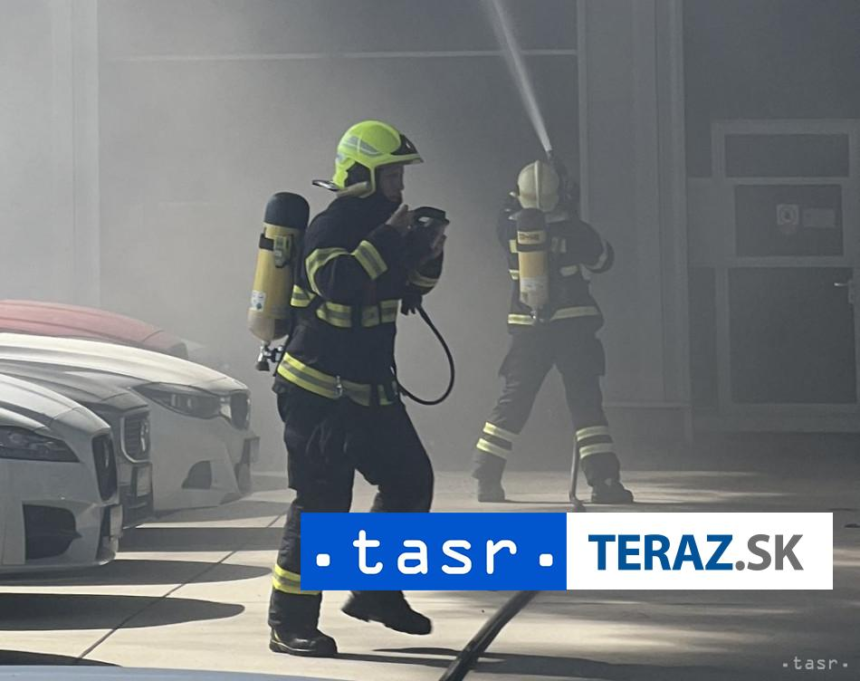 Poriar domu Skodu vycislili na milion eur