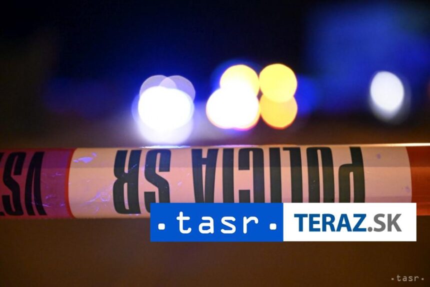 TRAGEDIA Na obci Bac zomrel pri nehode 41 rocny chodec Vinnik usiel