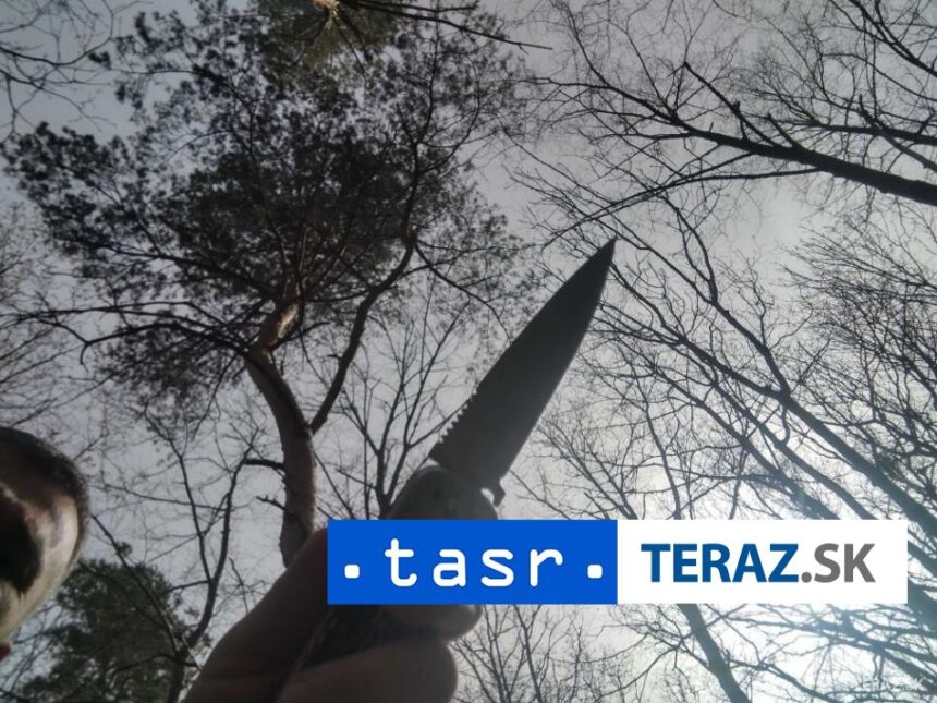 Drama v skolke Muz s nozom vtrhol dnu
