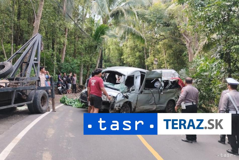 HAVARIA MINIBUSU Pat ludi zomrelo pri naraze do stromu