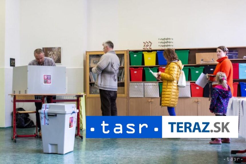 Sud nevyhovel ziadnej staznosti na volby v Cesku