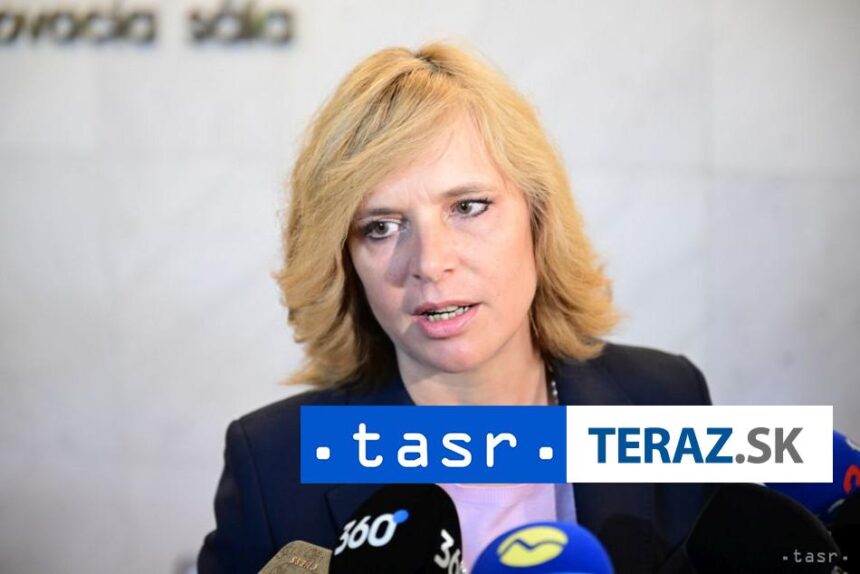 V Remisova Dotacne vyzvy P Kmeca sprevadzaju zlyhania