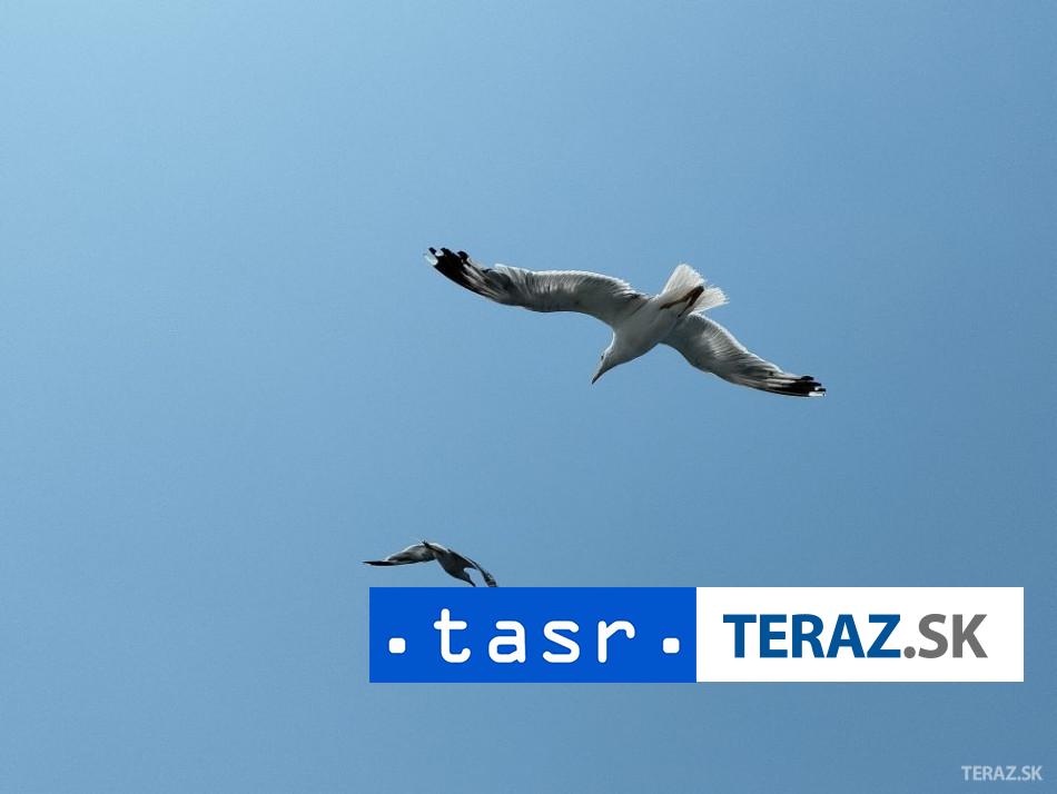 NEZVESTNY CHLAPEC ZAHRANILI 52 MIGRANTOV PRI GRECKU