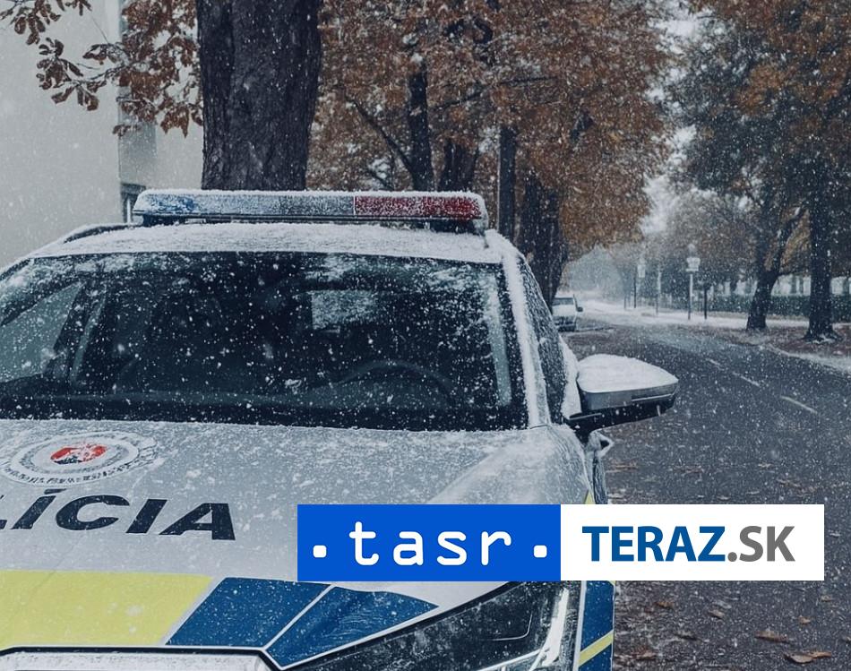 Policia riesila pocas Silvestra 2958 udalosti najviac v Kosickom kraji