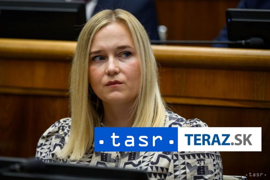 SaS kritizuju zahranicnu politiku vlady