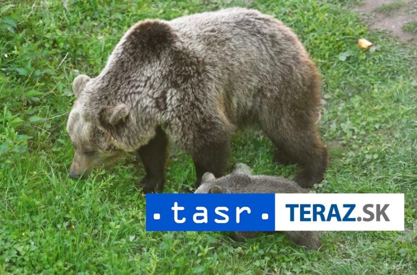 Iniciativa my sme les incidentu pri Ruzomberku sa dalo predist