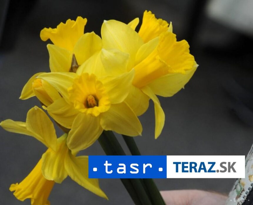 Svetovy den boja proti rakovine sa oslavuje 4 februara