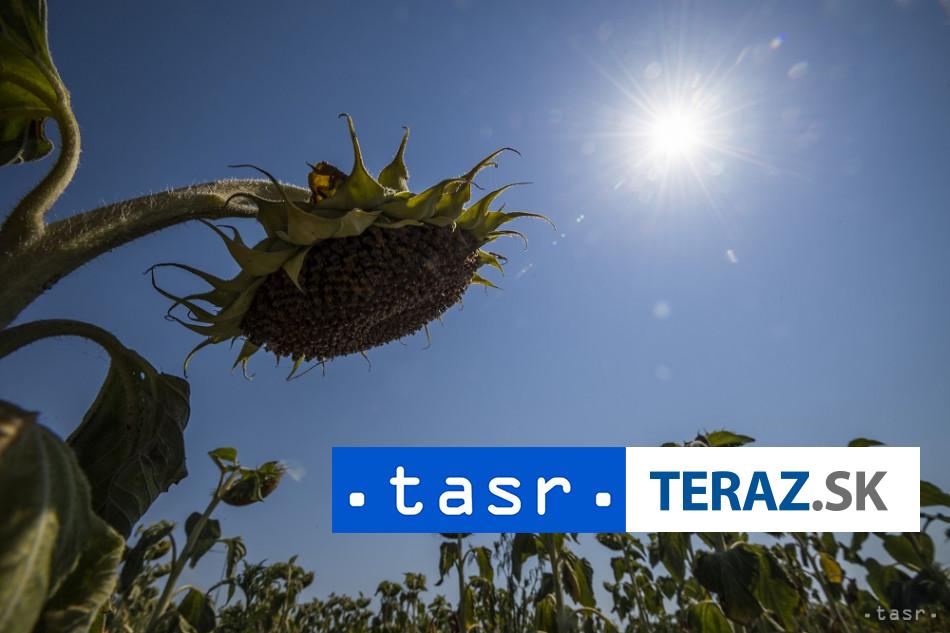 Rekordne marcorne horucavy V Arizone zaznamenali 43 stupnov Celzia