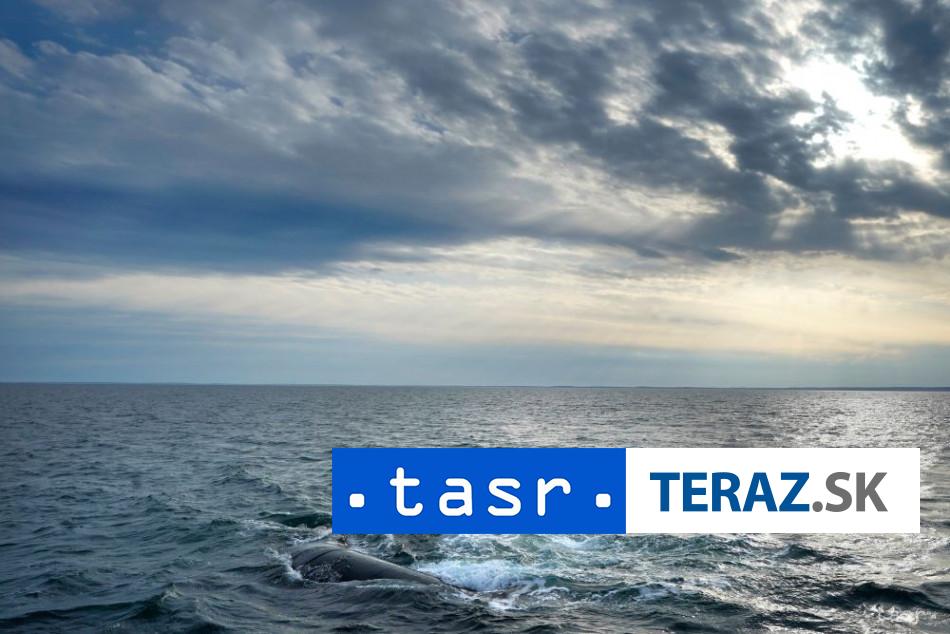 Mrtva velryba najdena pri pobrezi danskeho ostrova Anholt je Timmy