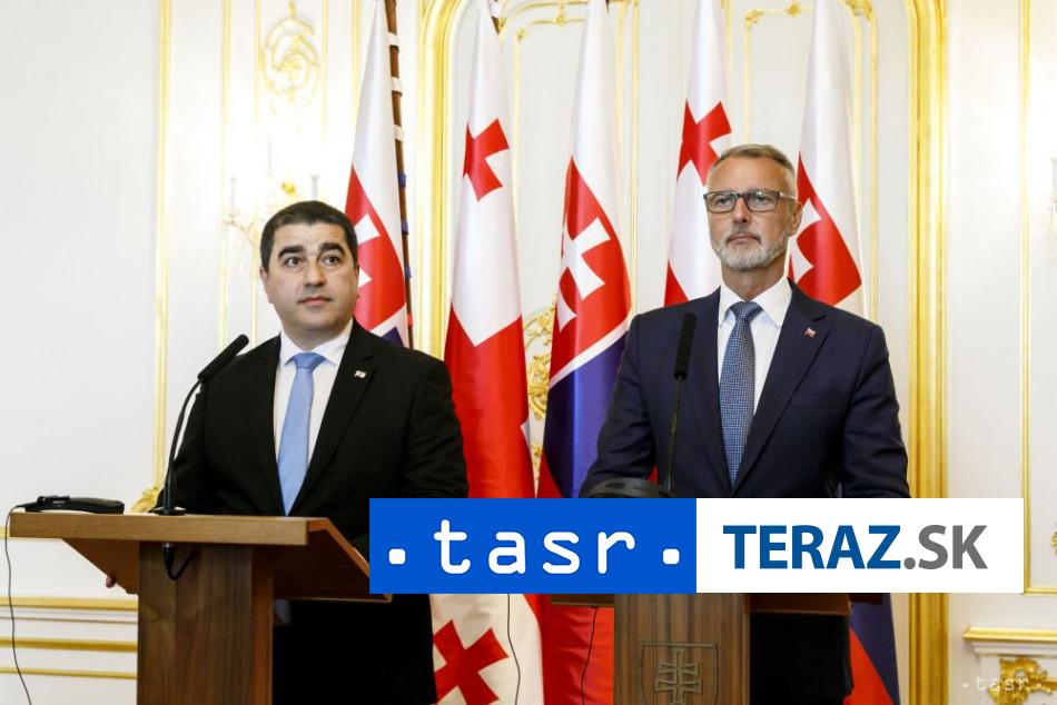 Rasi a Papuasvili sa zhodli na vyznamnosti parlamentneho dialogu