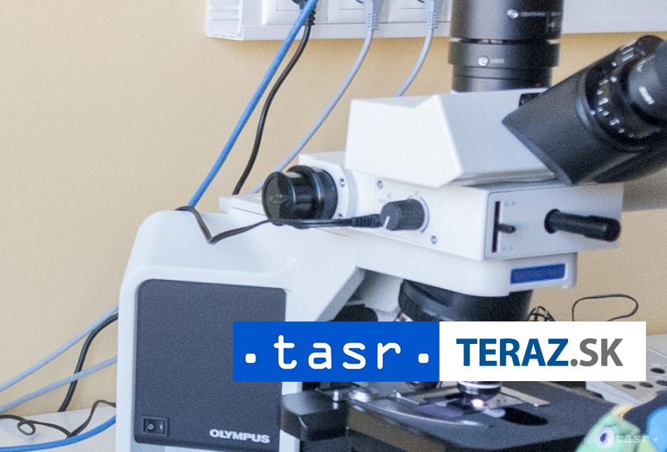 Vyskyt hantavirusu na Slovensku zatial nebol laboratorne potvrdeny tvrdi urad