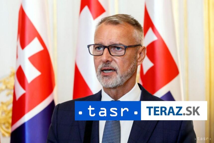 Rasi v Istanbule vyzdvihol ulohu parlamentov pri rozhodovani o obrane