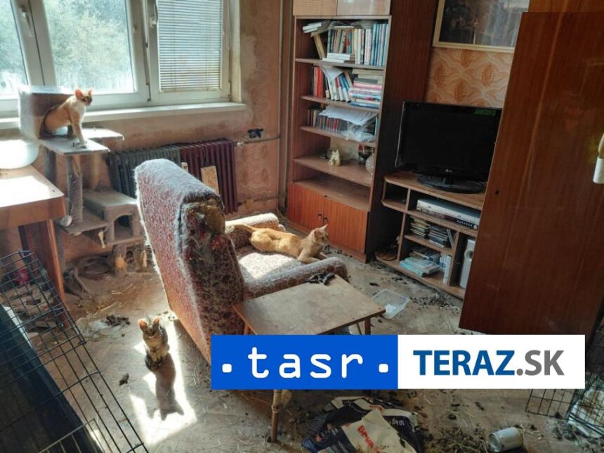 FOTO BYT PLNY HROZY V Zlatych Moravciach oslobodili 18 zvierat