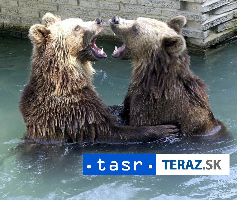 KRIZOVY STAB NA LIPTOVE Dovodom su MEDVEDE