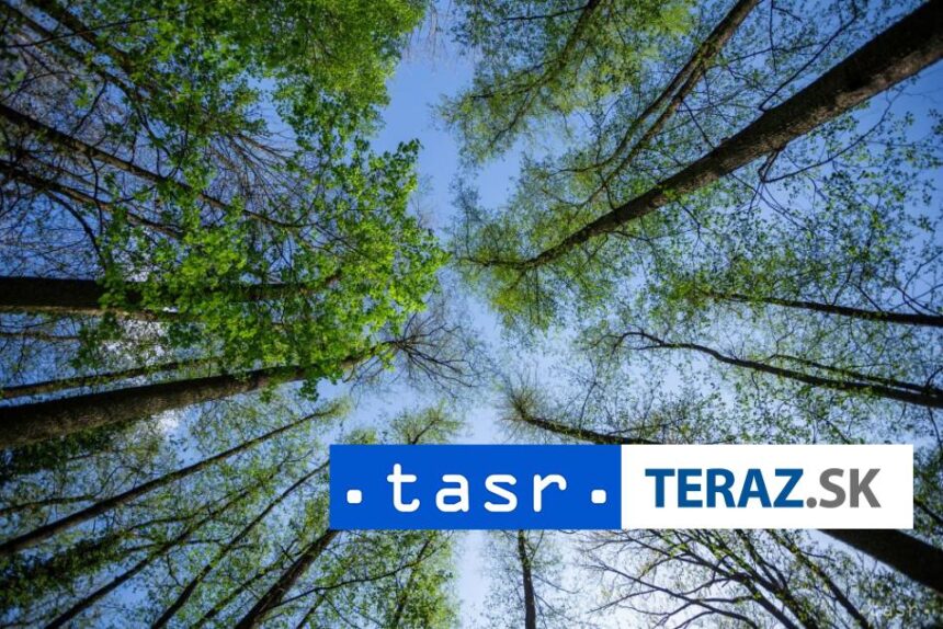 Obnoveny mestsak park v Banovciach nad Bebravou je uz spristupneny verejnosti