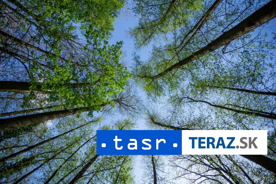 Obnoveny mestsak park v Banovciach nad Bebravou je uz spristupneny verejnosti