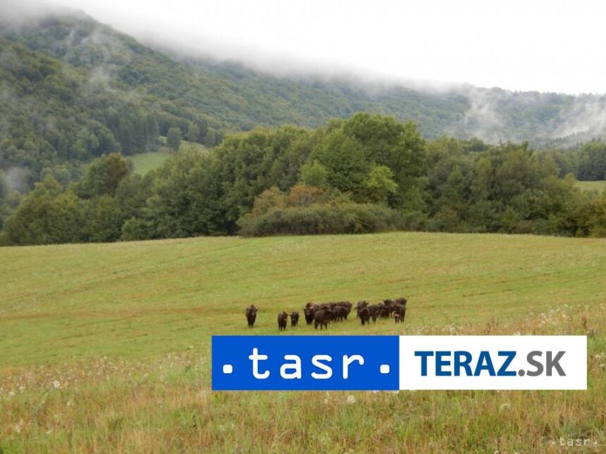 Vlada schvalila zonovanie styroch narodnych parkov