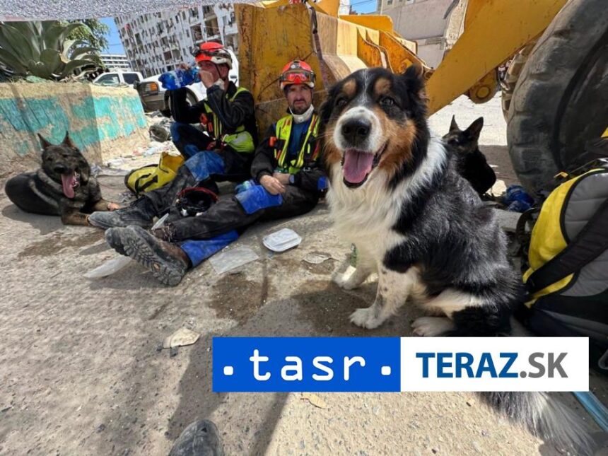 ZEMETRASENIE VO VENEZUELE Nasi zachranari so psami nevzdavaju boj
