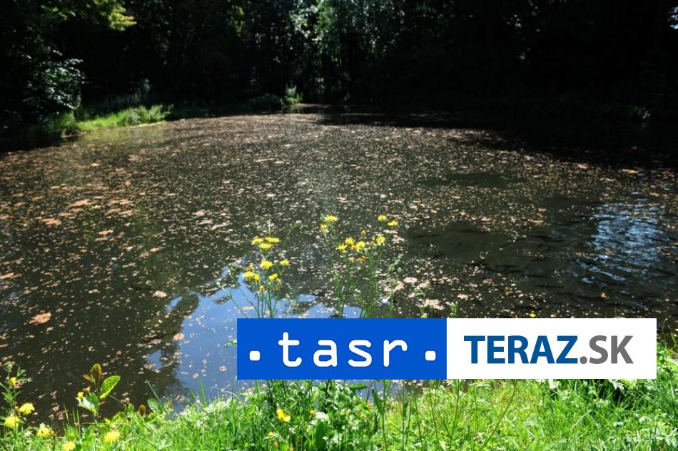 zachrana ryb pred teplom na strednom povazi boli zavedene opatrenia