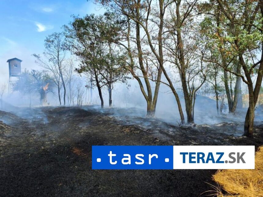 POZIAR LESA HASICI zasahuju v katastri obce Moravsky Svaty Jan