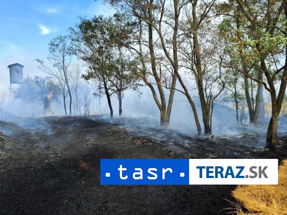 POZIAR LESA HASICI zasahuju v katastri obce Moravsky Svaty Jan