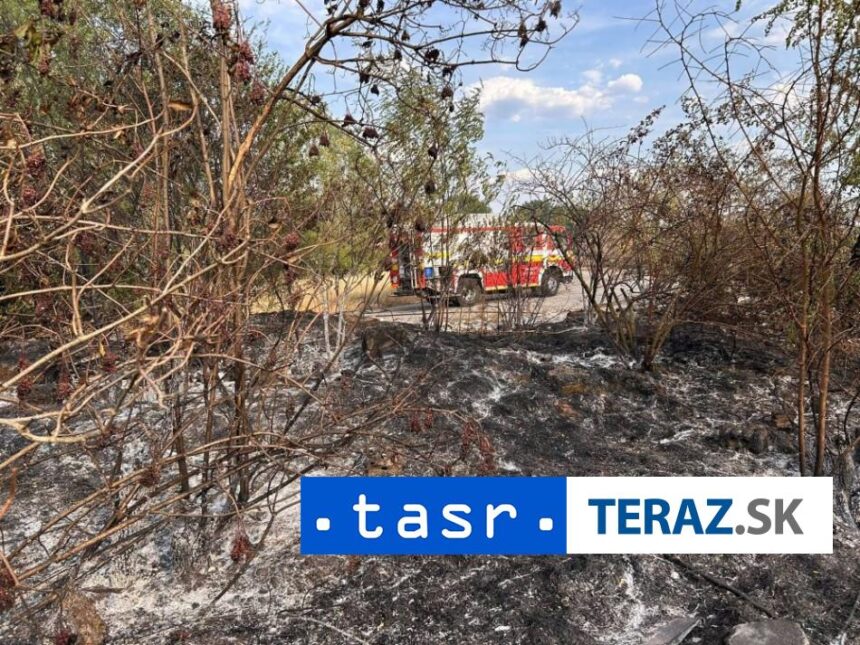POZIAR PRI LEVICIACH Plamene zachvatili suchu travu aj odpadky
