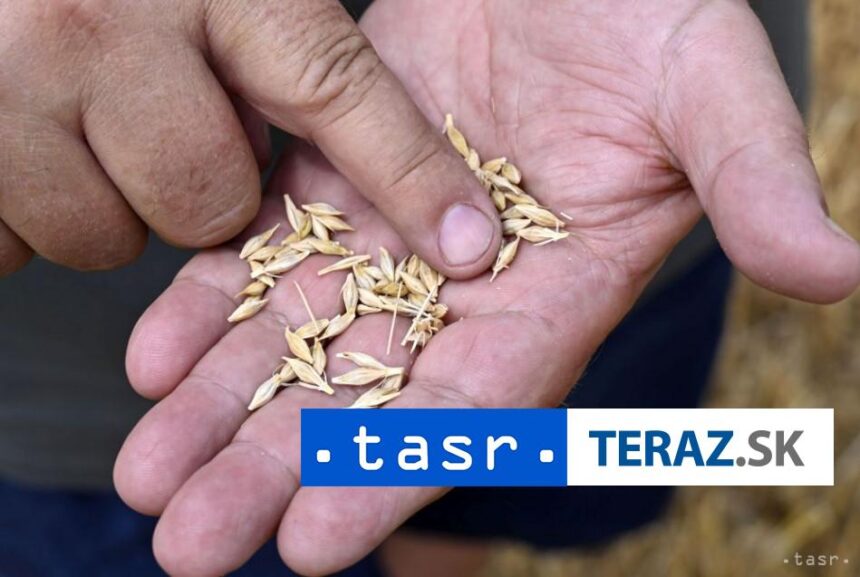 Polsko stale neplanuje ze EK zrusi zakaz dovozu ukrajinskeho obilia