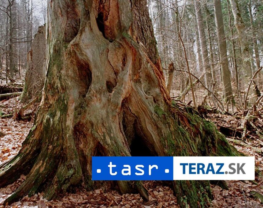 WWF Slovensko Rocne zdroje Zeme ludia vycERPali za sedem mesiacov