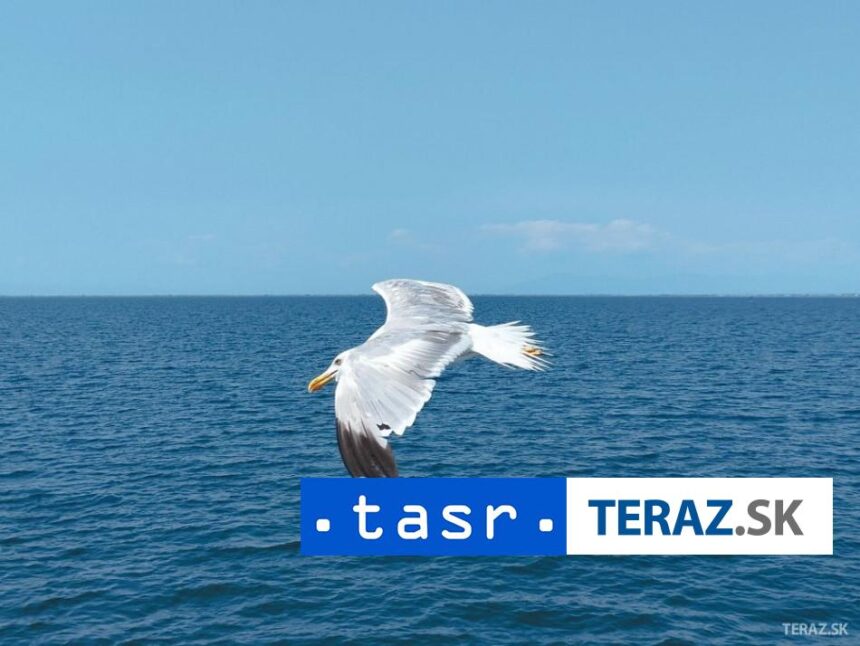 pri pobrezi jemenu po utoku klesla indicka lod