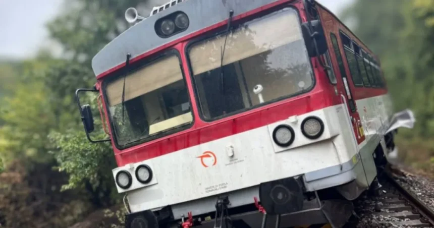 Vlak pri Trenčíne sa vykoľajil po náraze do stromu