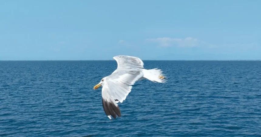 Švédi umožnili tankeru Sea Owl I vyplávať z teritoriálnych vôd