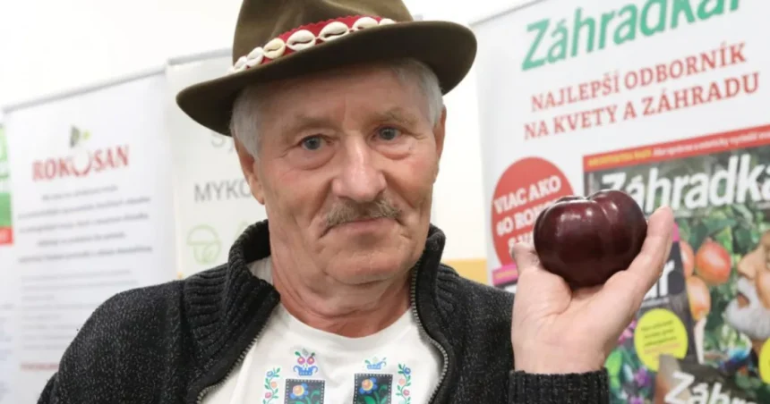 Zatvorenie Banoša spestrí aj celoslovenská súťaž O najkrajšie jablko